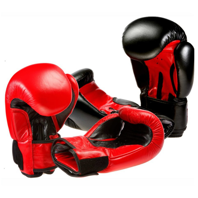 Evolution Leather Boxing Gloves Evolution Martial Arts